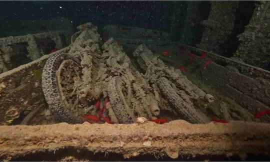 Red Sea Wrecks